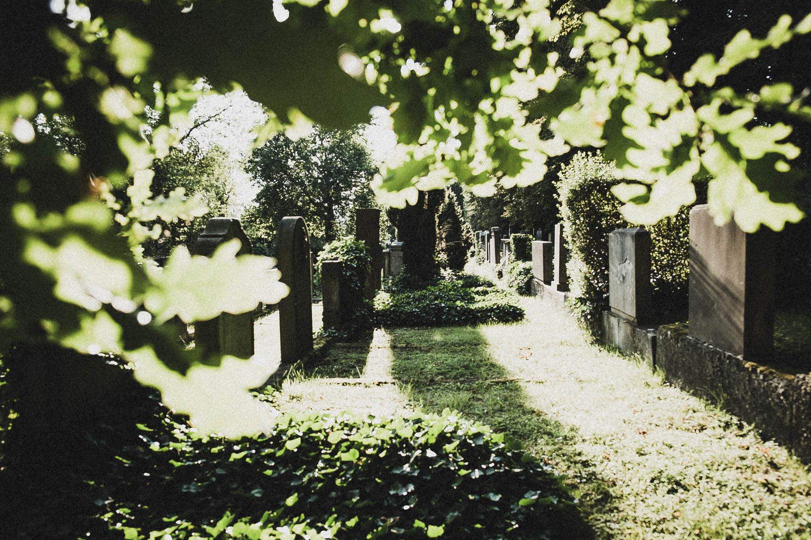 Jüdischer Friedhof Kassel-Bettenhausen